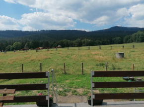 Čertova chata - apartmán Čerťák Zelezná Ruda